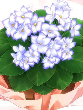 [060224] マブラヴ オルタネイティヴ_5cb47f56