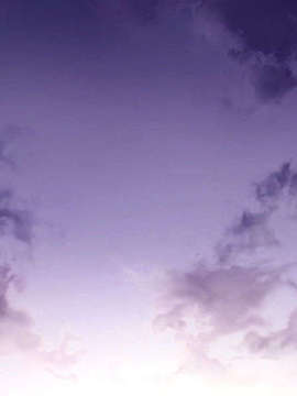 [040120]Fate stay night_CG100%_snap3865