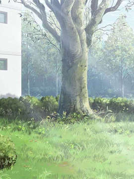 [080125]FORTUNE ARTERIAL_bg_1171