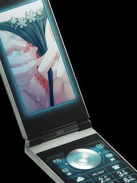 [080704][Anim]人妻交姦日記 DL版_H311