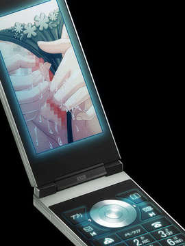 [080704][Anim]人妻交姦日記 DL版_H312