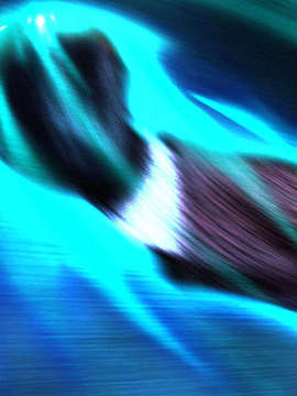 [051028]Fate hollow ataraxia_CG100%_snap2579