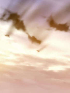 [051028]Fate hollow ataraxia_CG100%_snap2649
