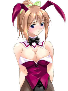 [040917][ぷちぱじゃま]あねいも～アイとHのステップアップ～_A212_G01