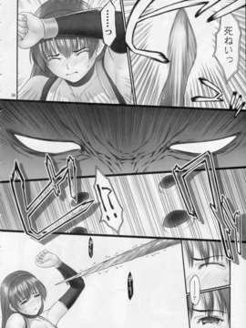 (C85) (同人誌)（C85）[へらぶな（いるまかみり）]討姫伝巻之壱卷（デッドオアアライブ）_T056
