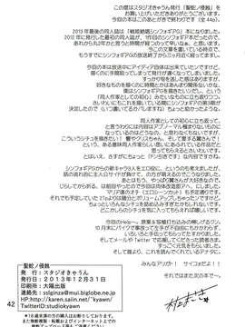 (C85) [スタジオきゃうん (村上雅貴)] 聖蛇ノ侵蝕 (戦姫絶唱シンフォギア)_042