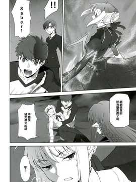 (C85) [Crazy Clover Club (城爪草)] T-MOON COMPLEX X09 (Fate∕stay night- 月姫) [中国翻訳]_img010