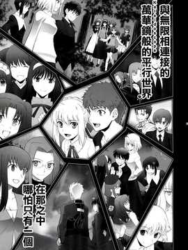 (C85) [Crazy Clover Club (城爪草)] T-MOON COMPLEX X09 (Fate∕stay night- 月姫) [中国翻訳]_img074