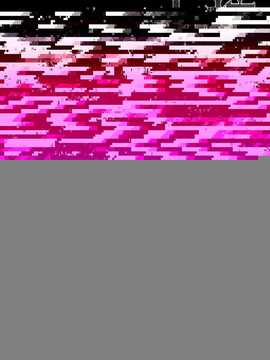 【CE家族社】(C86) [みやんち (宫越良月)]棺姫のカチューシャ(棺姫チャイカ)_CE_589_004