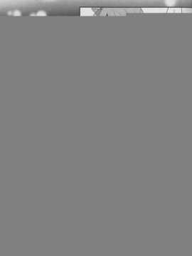 (僕らのラブライブ! 3) [MYONLYONE (吉添瑛子)] 青い星と月のワルツ (ラブライブ!)_14