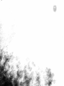 [脸肿汉化组] (C86) [サイクロン (冷泉, 和泉)]&nbsp;&nbsp;T-20Fei Tas (魔法少女リリカルなのは)_35