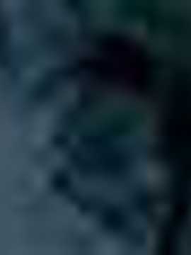 (C75) [SHRINE(人丸)] 幻想生物図鑑 6(戮) [幻想生物图鉴吧X漫之学园联合汉化制作]_sum_coloph_006d