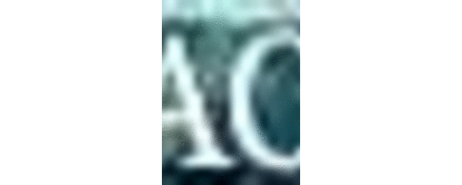 (C75) [SHRINE(人丸)] 幻想生物図鑑 6(戮) [幻想生物图鉴吧X漫之学园联合汉化制作]_tip_back