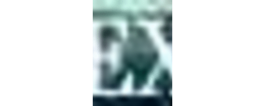 (C75) [SHRINE(人丸)] 幻想生物図鑑 6(戮) [幻想生物图鉴吧X漫之学园联合汉化制作]_tip_next