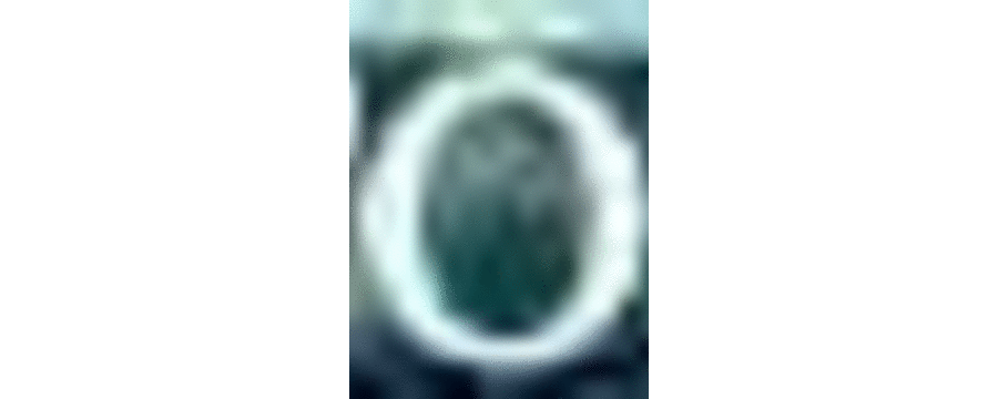 (C75) [SHRINE(人丸)] 幻想生物図鑑 6(戮) [幻想生物图鉴吧X漫之学园联合汉化制作]_tip_top