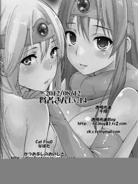 (C82) [CAT FOOD & 透明光速 (千翔 & なぱた)] 賢者さん Lv.14 (ドラゴンクエストIII)（only なぱた part）_0023