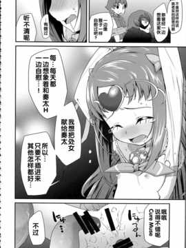 [汉化](C86) [コンディメントは8分目 (前島龍)] 総集編 スマドキオールスターズ -みんなハメともだち- (プリキュアシリーズ)_img_024