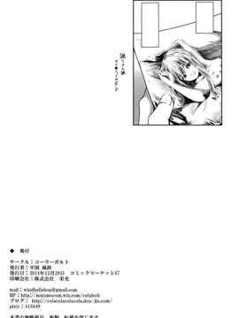 C87) [コーラーボルト(平国風鈴)] わたしの絵を描いて (東方Project)_41