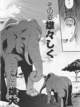 [アンソロジー] 女装少年アンソロジーコミック 櫻組_00063