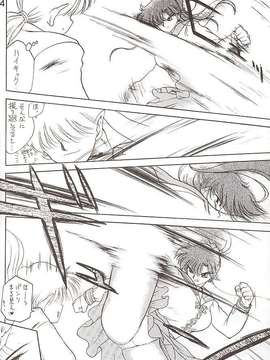 [BLACK DOG (黒犬獣)] Star Platinum(美少女戦士セーラームーン)_starplatinum_123