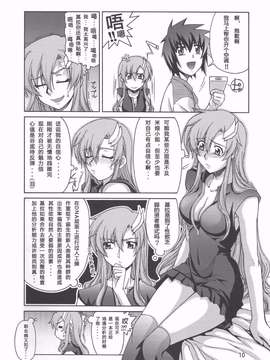 [graviton个人汉化] (C70) [GOLD RUSH (鈴木あどれす)] Thank you! From Gold Rush (機動戦士ガンダムSEED DESTINY)_0010
