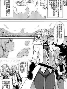 [Pつssy汉化组-074] (C87) [H.B.A (うさぎなごむ)] エルフの姫は快楽に哭く_0005