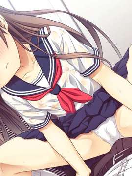 富_追加sh02b+4+8+12+19+73+83+99