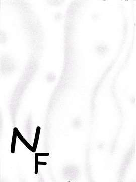 (サンクリ33) [夜の勉強会 (ふみひろ)] NF-01 (魔法少女リリカルなのは) [无毒汉化]_002