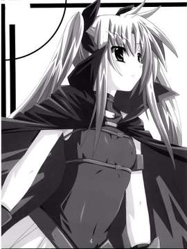 (サンクリ33) [夜の勉強会 (ふみひろ)] NF-01 (魔法少女リリカルなのは) [无毒汉化]_003