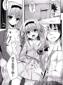 【CE幻想夏结社】(例大祭12)[きのこむ神 (きのこむし)]アクメーあくしろよ(東方Project)_0009