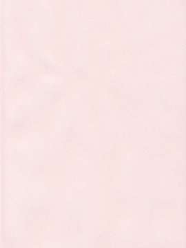 [ホムンクルス] はじらいブレイク_209