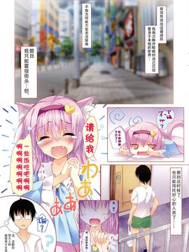 【CE家族社】(C88) [きのこむ神 (きのこむし)] にゃとりさま、拾いました。 (東方Project)_CE_996_004