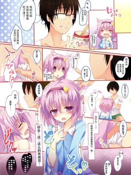 【CE家族社】(C88) [きのこむ神 (きのこむし)] にゃとりさま、拾いました。 (東方Project)_CE_996_005