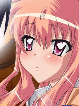 [18禁同人ゲームCG] ゼロ使。～Another Storys 2～_rz073
