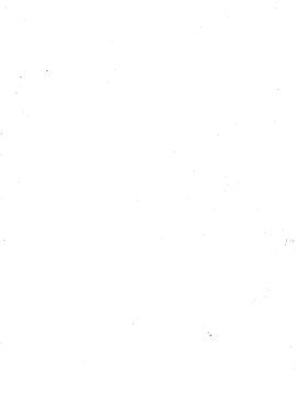 [血祭屋本舖] (C54) Evangelium Aeternitatis 永遠の福音書 (新世紀エヴァンゲリオン)_012_Evangelium_Aeternitatis_Eien_Fukuinsho_i_010
