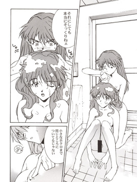 [はぽい處(岡崎武士)] (C53) 155 (新世紀エヴァンゲリオン)_155_30