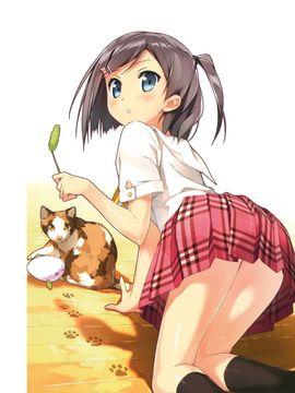 (C80) (同人誌) [5年目の放課後] STEP -カントク アートワークス2_011