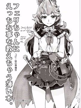 [ペンペン草くらぶ (カタセミナミ)] フェリちゃんにえっちなことを教えちゃう薄い本 (グランブルーファンタジー)_017