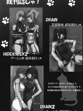[紅茶屋 (大塚子虎)] (C75) BLACK DIAMOND (機動戦士ガンダム00)_bd_38