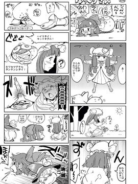[笑顔で暴力 (mogg)] (例大祭12) SUBHUMAN (東方Project)_20