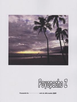 [ぽよぱちょ (うみうし)] (C77) Poyopacho Z (ヱヴァンゲリヲン新劇場版)_02