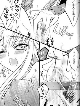 [CREAYUS (嵐月)] (COMIC1☆3) Black Noise (コードギアス 反逆のルルーシュ)_20