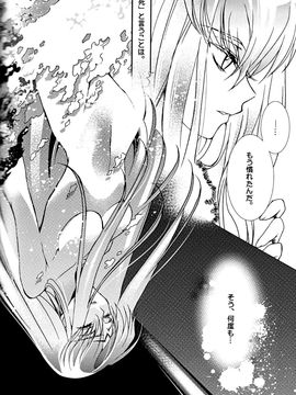 [CREAYUS (嵐月)] (COMIC1☆3) Black Noise (コードギアス 反逆のルルーシュ)_40