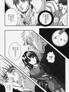 [KYOTA IZUMI] 純色_149