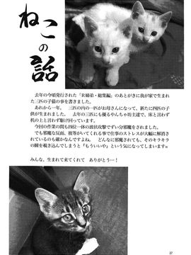 (C76) [RPGカンパニー2 (寄生虫)] ブリッジ (オリジナル)_028