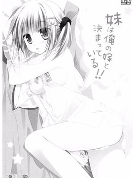 (C88) [KOKIKKO (せせなやう)] 妹は俺の嫁と決まっている!!_003