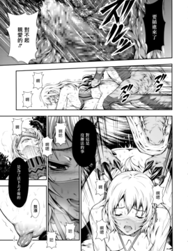 (C89) [Yokohama Junky (魔狩十織)] ペアハンターの生態vol.2-1 (モンスターハンター)_017