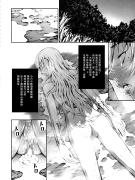 (C89) [Yokohama Junky (魔狩十織)] ペアハンターの生態vol.2-1 (モンスターハンター)_028