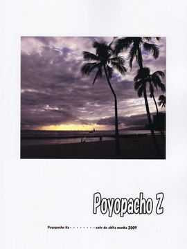 (C77) [ぽよぱちょ (うみうし)] Poyopacho Z (ヱヴァンゲリヲン新劇場版)_002