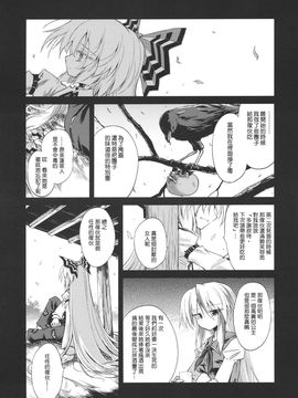 (C79)[あさつき堂]Last·Elixi(東方Project)[喵玉汉化]_008